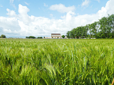 L'abbaye d'Ardenne près de Caen au Printemps