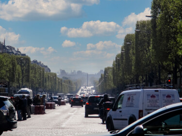 Avenue des Champs-Elysées