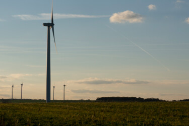 Eoliennes aux heures dorées