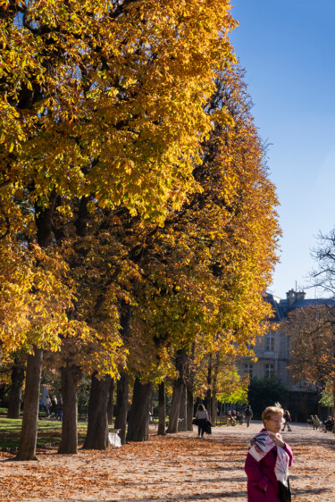 Automne au jardin du Luxembourg