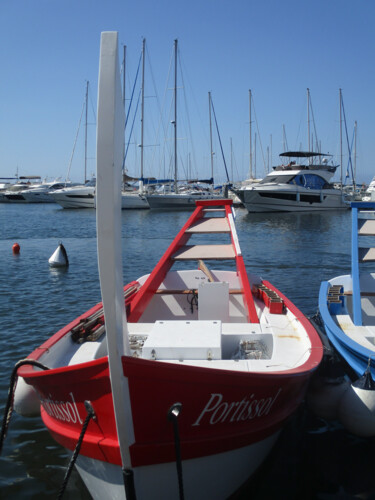 Barque de joute