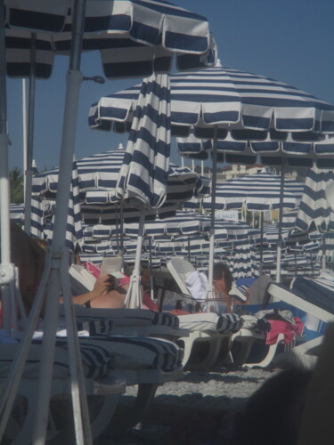 Forêt sur la plage de Nice