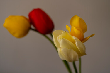 Bouquet du jardin