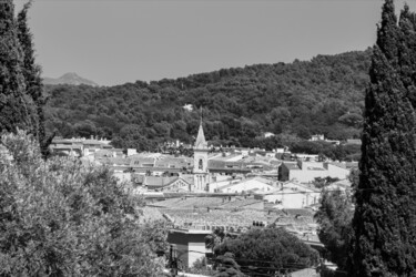 L'île de Sanary dans la végétation.